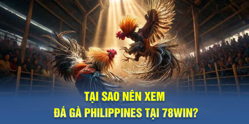 Tại sao nên xem đá gà Philippines tại 78WIN